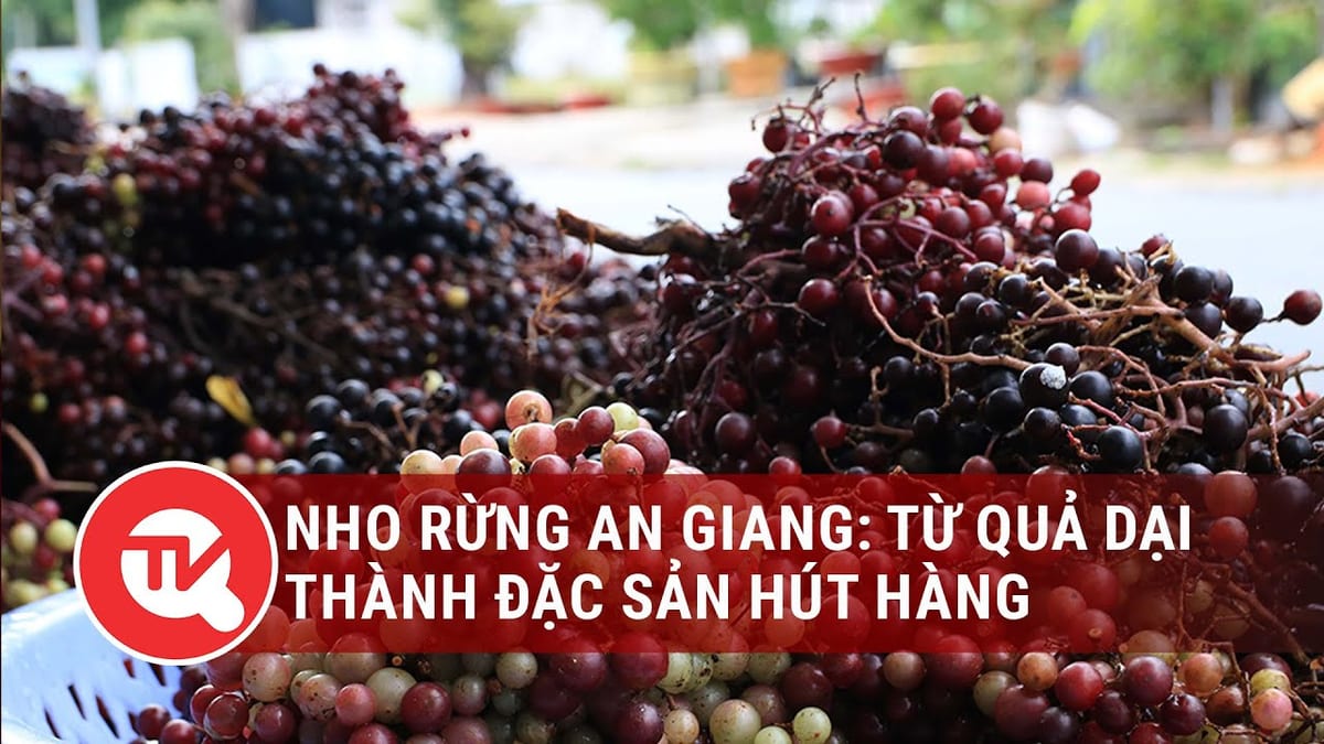 Vườn ươm giống sinh thái chân Núi Cấm